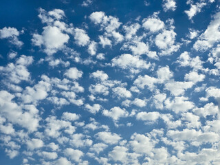 Blue sky filled with fluffy white clouds