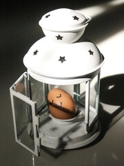 The eggs sleeping in the cage are white