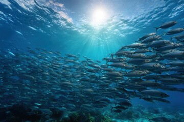 Vast school of silver fish swims together under sunlit ocean surface