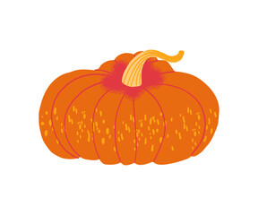 Orange autumn pumpkin. Hand drawn vector illustration.