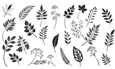 Botanical Leaf and Plant Silhouette Set Minimal Black Solid Vector Design Isolated on White.