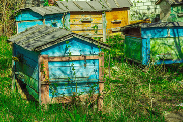 Abandoned traditional beehives near rural home. A symbolic image of global bee population