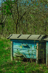 Abandoned traditional beehives near rural home. A symbolic image of global bee population