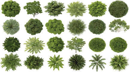 Top view green trees set, realistic tree foliage collection, landscape planning clipart, botanical garden elements, aerial plant design illustrations
