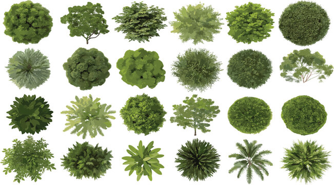 Top view green trees set, realistic tree foliage collection, landscape planning clipart, botanical garden elements, aerial plant design illustrations