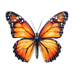 Monarch Butterfly PNG, Monarch Butterfly isolated on transparent background