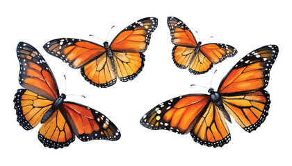 Four monarch butterflies fluttering in a group isolated on transparent background