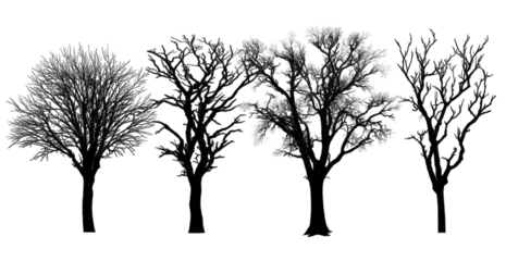 Five stylized dark trees, subtly varying in form, adorned with sparse, multicolored lights, stand in a row against a black background