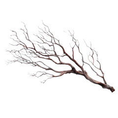 Branch with brown and white leaves