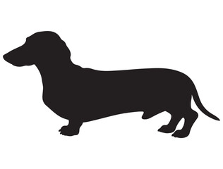DACHSHUND DOG SILHOUETTE