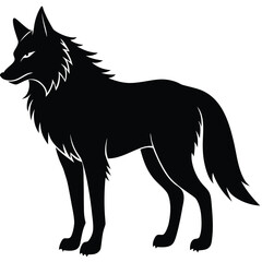 WOLF  silhouette on white background