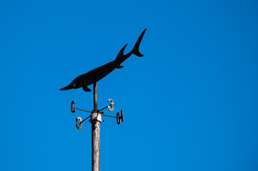 Weather vane on the mast in the form of a fish.