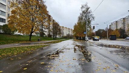 Along the asphalted roadway of a city street with parked cars are residential buildings, sidewalks, lamp posts, lawns and trees with yellow foliage. Fallen leaves lie on the wet asphalt. Overcast