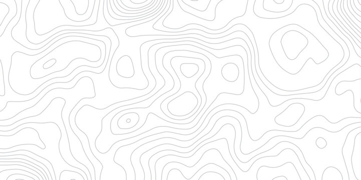 Topography white and gery map background- Vector geographic contour map.
