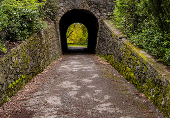 Obraz premium A small tunnel under the road leading through the forest.