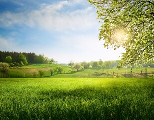 Obraz premium spring background green natural rustic background