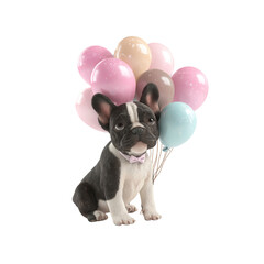 Adorable French Bulldog Puppy with Pastel Balloons