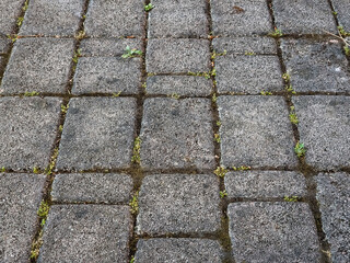 Grey cobblestone pavement