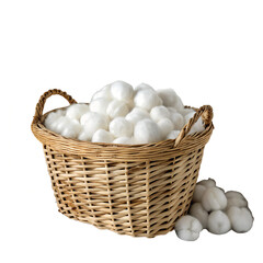 eggs in basket