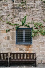 Bench and green vines climbing old stone wall