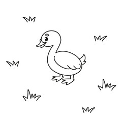 Cute Gosling in Meadow - Black and White Vector Illustration