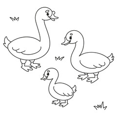 Cute Gosling Family - Black and White Vector Illustration