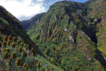 Trek à Madère 2025 - Jour 7 (miradouro da Raposeira, verada do Paul do mar)