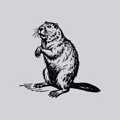 Detailed Marmot Clipart Vector