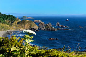 Jagged rocks litter the striking blue Pacific Ocean waters below along the northern California...