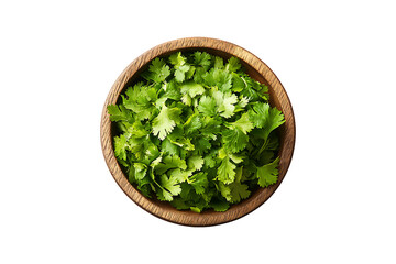 Top View of Fresh Cilantro in Wooden Bowl Isolated on Transparent Background