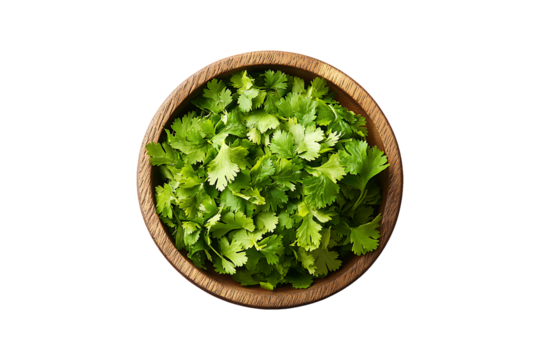 Top View of Fresh Cilantro in Wooden Bowl Isolated on Transparent Background