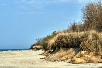 A sandy beach and a cliffy shore covered with bushes and grass on the Baltic Sea coast