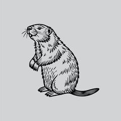 Standing Groundhog Line Art Clipart © AB vector designer