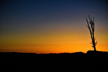 Naklejka premium Dying light illuminates the horizon with streaks of orange during this summer sunset near Bryce Canyon in Utah