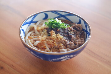 Delicious Bowl of Japanese Beef Udon