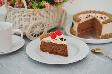 Festive Cake with Chocolate Icing
