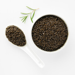 Contrast seafood elements caviar and black roe, arranged cleanly on white background, premium delicacy, minimalistic culinary presentation, closeup food. 