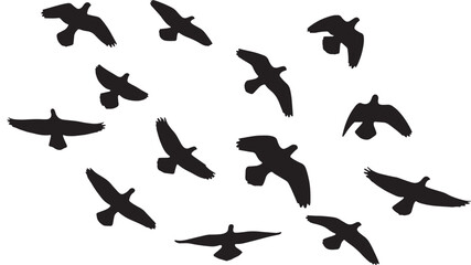 Fototapeta premium Silhouetted Birds in Flight Dynamic Flock Pattern Design.