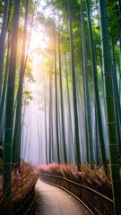 Walking Path Through Tall Bamboo Forest with Sunlight