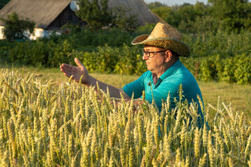 A farmer in a straw hat inspects his wheat crop during sunset. The lush field stretches around him, with a rustic house and trees in the background, highlighting rural life
