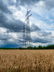 Hochspannungsmasten in einem Weizenfeld im Sommer