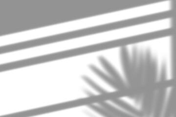 Transparent shadow effect. Shadow and light from window. isolated on transparent background. Blurred shadow overlay for modern interior design decoration, mockup, Summer spring design elements, PNG