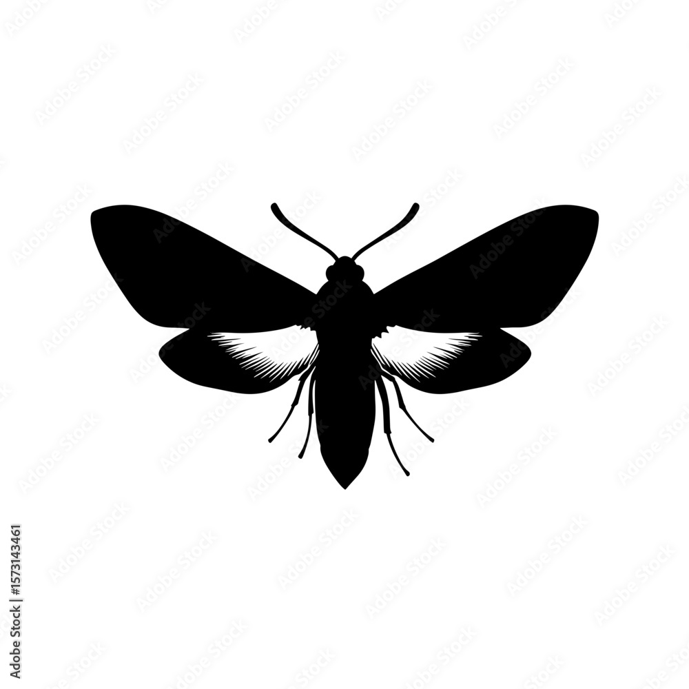 Poster silhouette of a moth with open wings and visible legs and antennae in a minimalistic style art