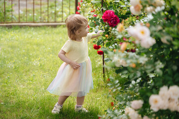 little girl in the rose garden