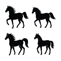 Horse Bundile