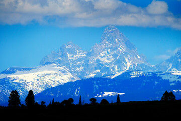 Teton Mountain Range with Grand Teton and Pine Tree Silhouettes and Cloudy Sky