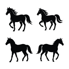 Horse Bundile