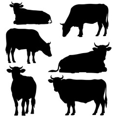 Silhouettes of cows in various poses on white background