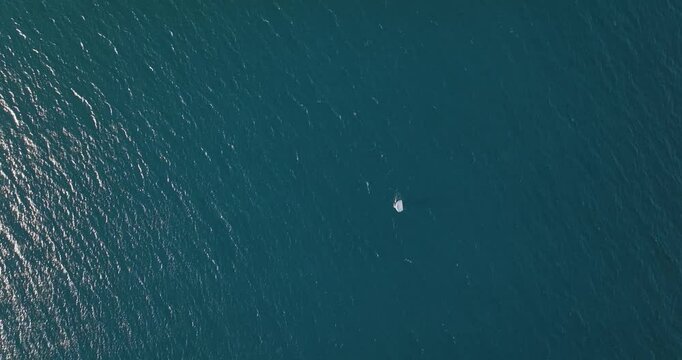 Aerial view of Salerno, Campania, Italy.
