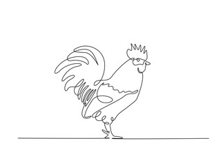 Rooster or male chicken in single outline illustration. Continuous line art drawing of rooster.